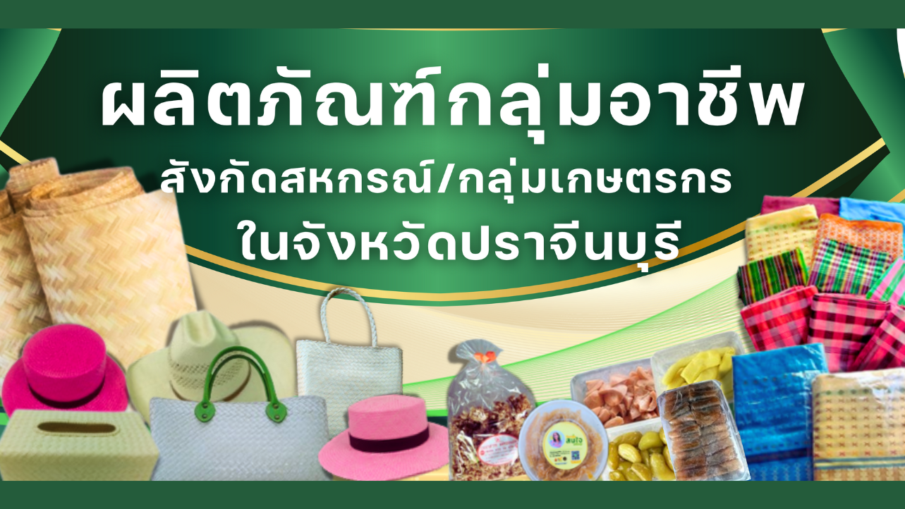แคตตาล็อกผลิตภัณฑ์กลุ่มอาชีพ